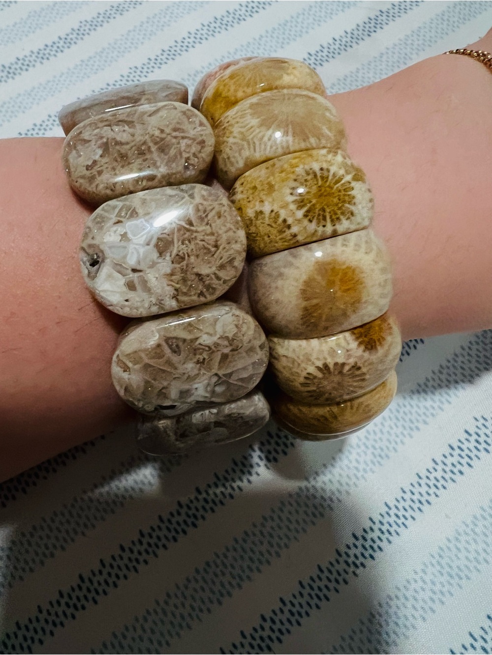 Polished Japanese Fossil Coral Stretch Bracelet - Beige & Tan